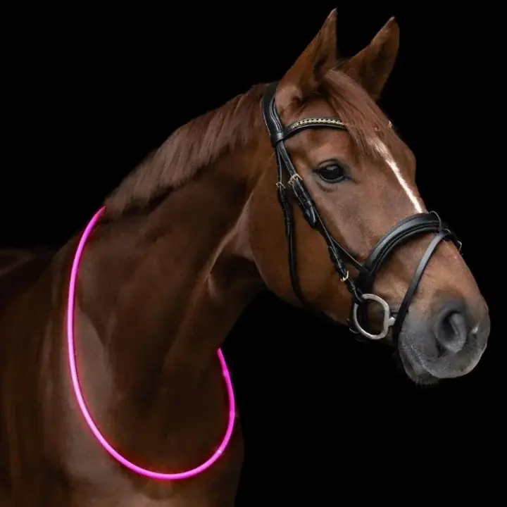 Halsring LED Light Rosa | Lägg i varukorg