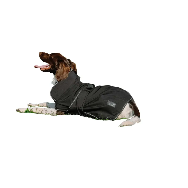 Under begränsad tid | Hundfilt Equithème