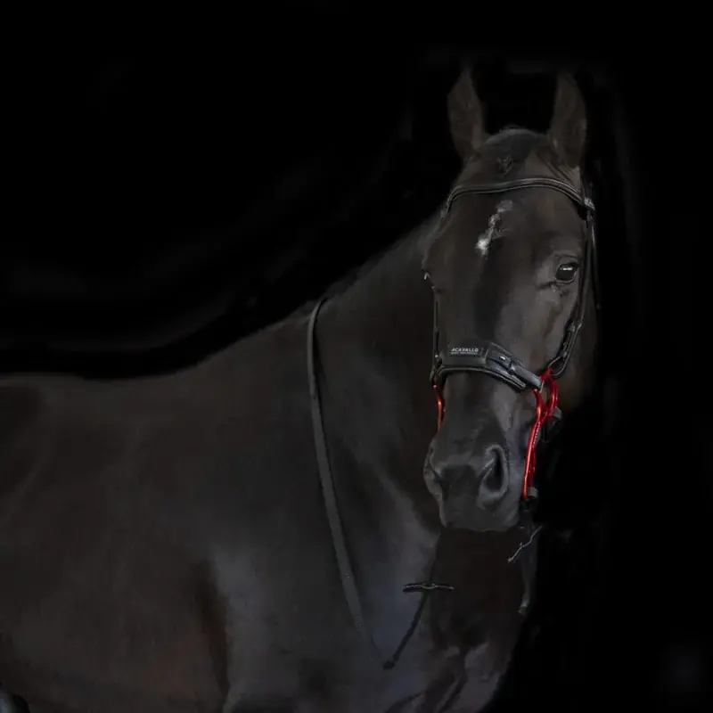 HACKAMORE DARK BROWN/ALUMINIUM - Beställ online