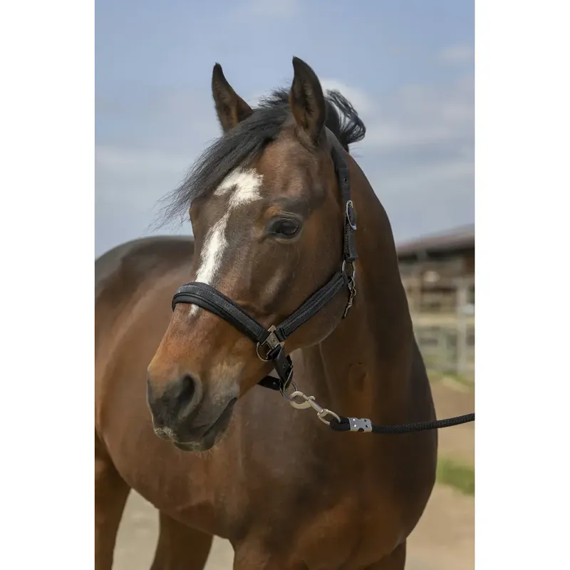 Hästgrimma i nylon med strass Equithème | Skaffa nu