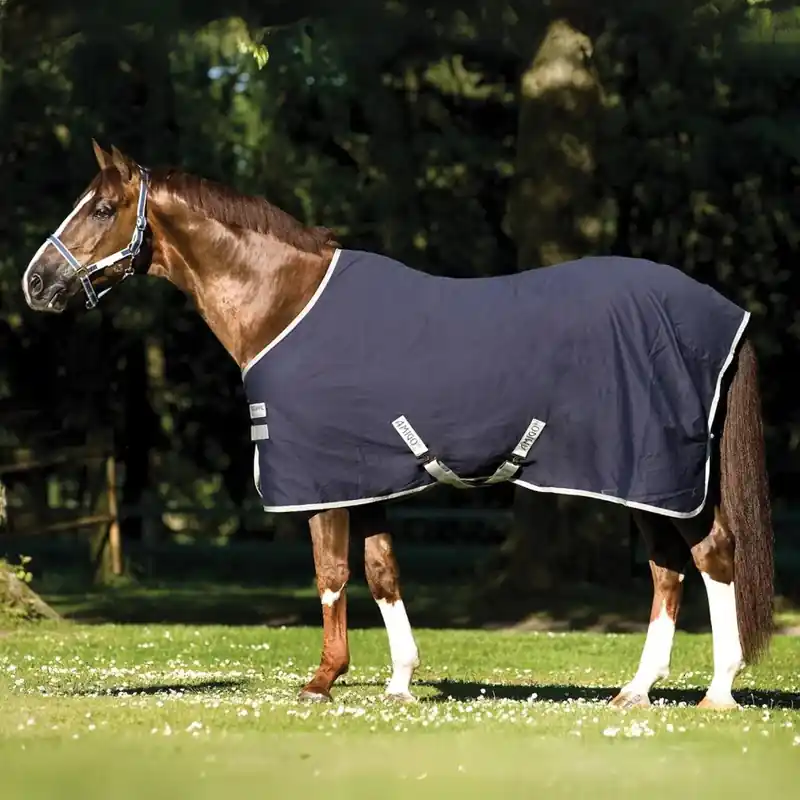 Amigo Stable Sheet – Marin/Silver | Populärt just nu