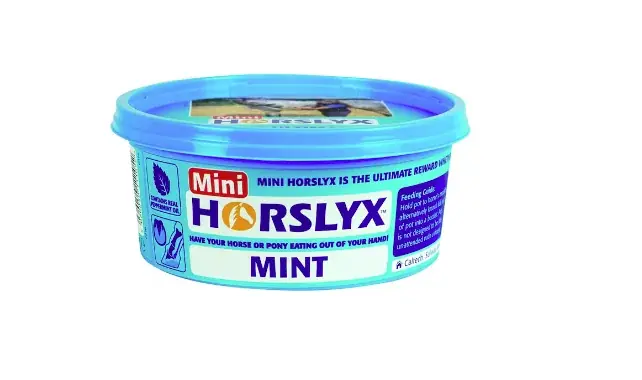 Kanonpris - Slicksten Horslyx Mini Mint